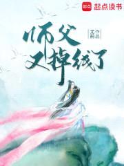 师父又掉线了